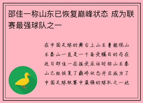 邵佳一称山东已恢复巅峰状态 成为联赛最强球队之一